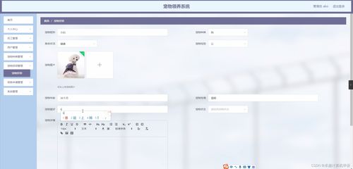 SpringBoot寵物領(lǐng)養(yǎng)系統(tǒng)23998計(jì)算機(jī)畢業(yè)設(shè)計(jì) 一個(gè)全棧軟硬件開發(fā)實(shí)踐